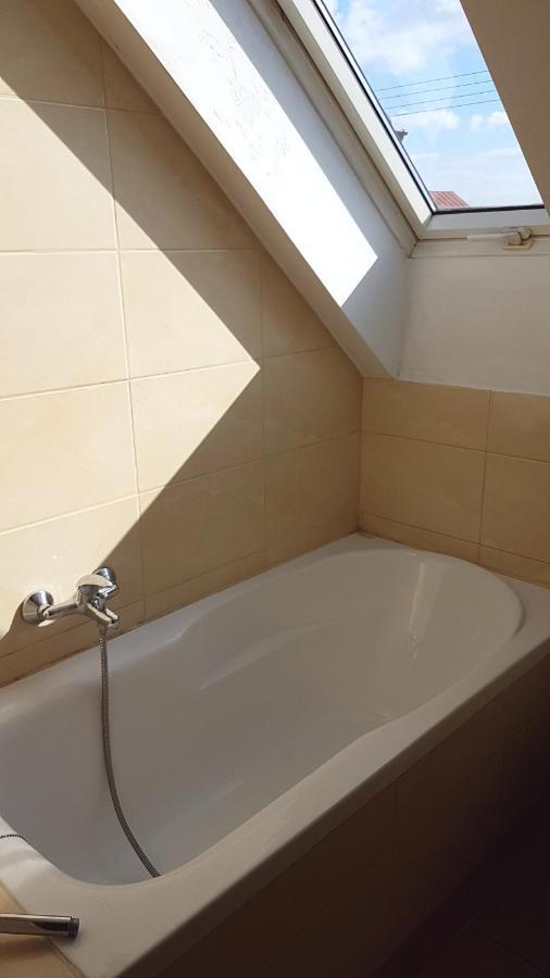 E&S_ Apartament Milicz Extérieur photo